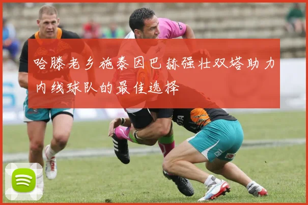 哈滕老乡施泰因巴赫强壮双塔助力内线球队的最佳选择