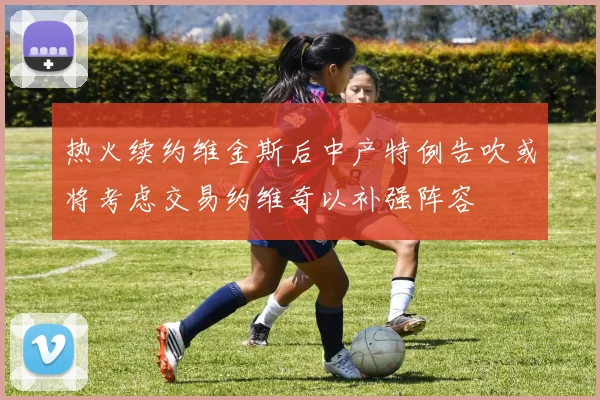 热火续约维金斯后中产特例告吹或将考虑交易约维奇以补强阵容